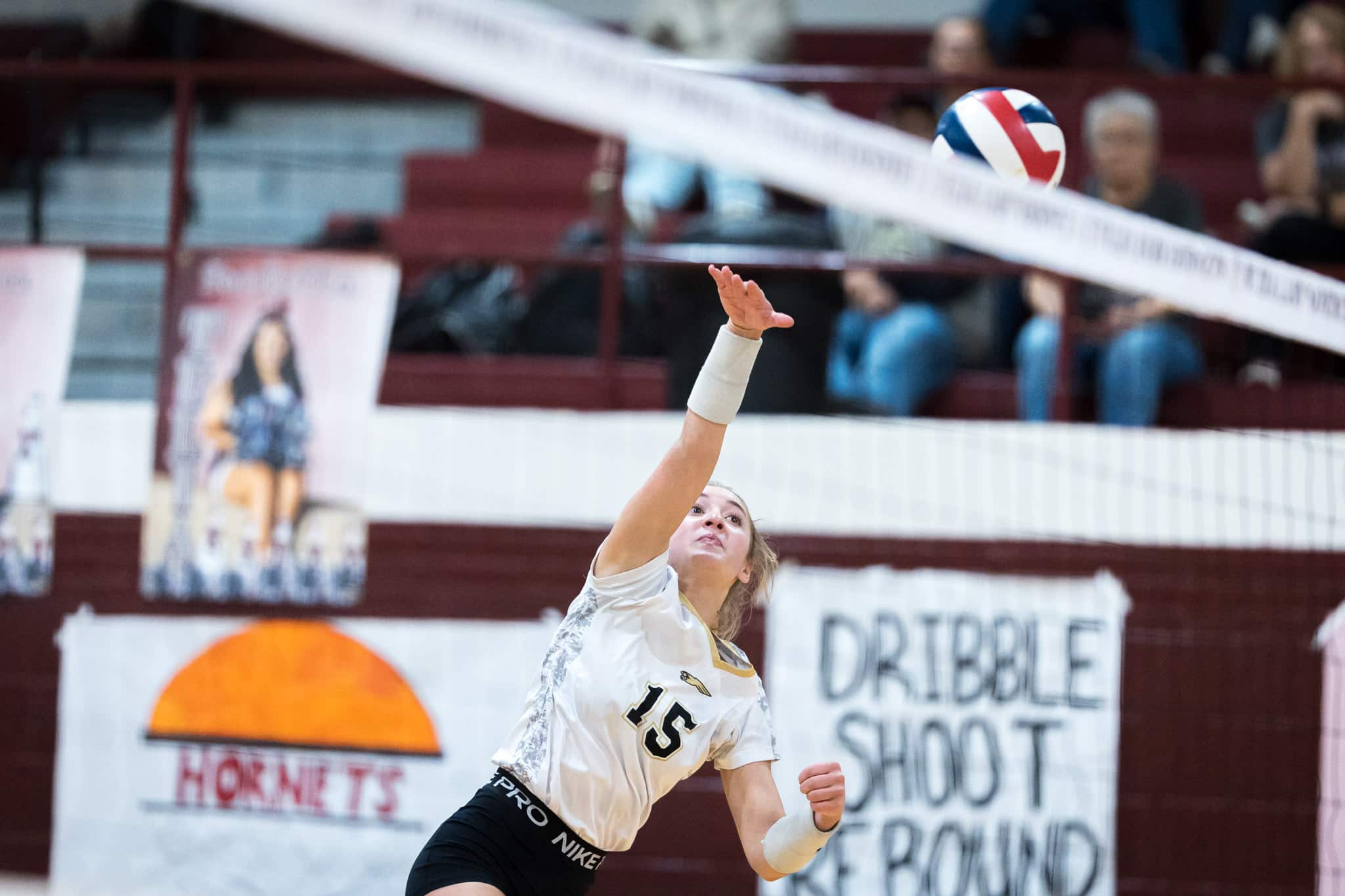bushlandvb4 - Press Pass Sports